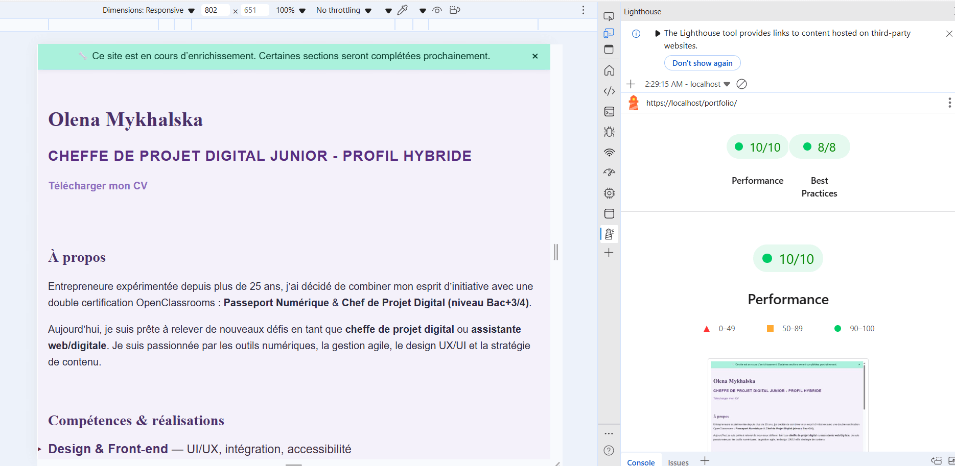 Audit Lighthouse Portfolio